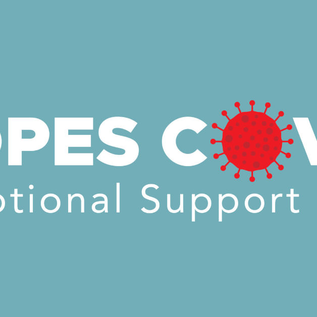 WordPress Copes COVID